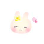 ひかえめで可愛いちいさなうさぎ