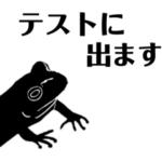 カエル・昆虫・カタツムリの影絵◆学生編