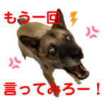 紫友会　拓海のツンデレ珍道中✨