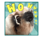 保護犬卒業生アミちゃんの四季感スタンプ