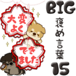 ちゃちゃ丸 15『褒める』