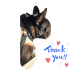 フレブル☆まるお☆2022  part2