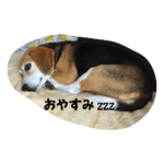 ランちゃんと一緒