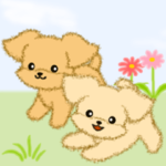 とことこちびトイプードル