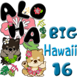 ちゃちゃ丸 16『Hawaii』