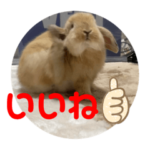 うさぎのちゃちゃまるスタンプ16セット