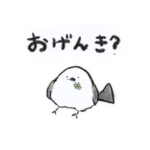 雑に使えるシマエナガ