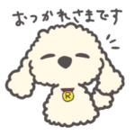 もこもこ⭐︎トイプードル修正版