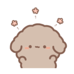 トイプードルのばぶぅちゃん