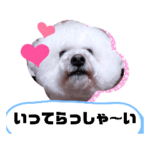 彦星2022 年行ってらっしゃい