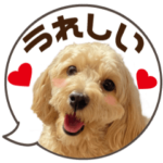 動く!犬のまるちゃん、ふきだし