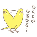 とりちゃんたちの優しい言葉