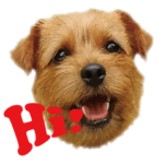 ノーフォークテリアふぁみりぃ ～家族編～