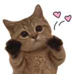 にぼしといっしょ