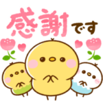 ぴよことインコ♡毎日カラフルで可愛い