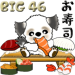 シーズー犬 46『お寿司』