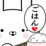 ご飯に誘うさぎ