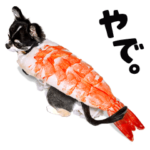 チワワのあずき ⑤ 食いしん坊万歳 編