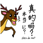 中国語アニマル2022K