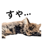 2022春プシュケスタンプ