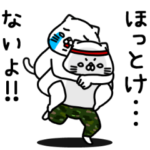 全力ねこ思いやり編