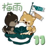 ちゃちゃ丸 11『５月・６月＆梅雨』