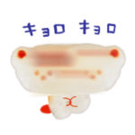 こむぎこ犬と小麦粉あらいぐま３