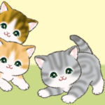 まんまるチビ猫たちの毎日