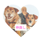 読みやすくなった！ワンハムスタンプ