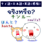 タイ語と日本語と英語 気持ちを伝えよう