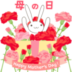 母の日！本音で生きるウサギ