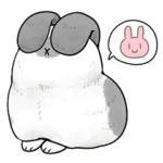 謎のウサギ　おモチ