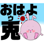 ころころアニマルズの日常