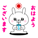 飛び出す！ドＳうさぎちゃん16