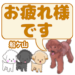 船ケ山「ふながやま」さんのトイプードル