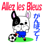 フランスのサッカー犬