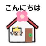 ポメぽめハッチの日常