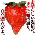 全てを肯定するいちご