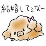 毒舌トイプードル 女子