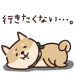 しばいぬ♡だらだら