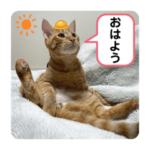 吾輩は猫ニートである。