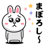 飛び出す！コニー＆フレンズ_おもしろ