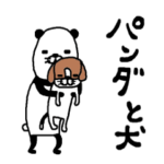 パンダと犬