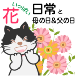 猫と春の花いっぱいの日常