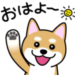 Cute! 動く! 柴犬スタンプ