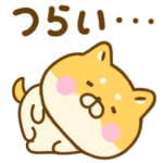 がんばらないゆる柴犬