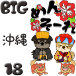 ちゃちゃ丸 18『沖縄』