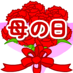 母の日❤️カーネーション