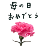 BIG　母の日　カーネーション　スタンプ