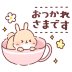 うさぎきゃわわ